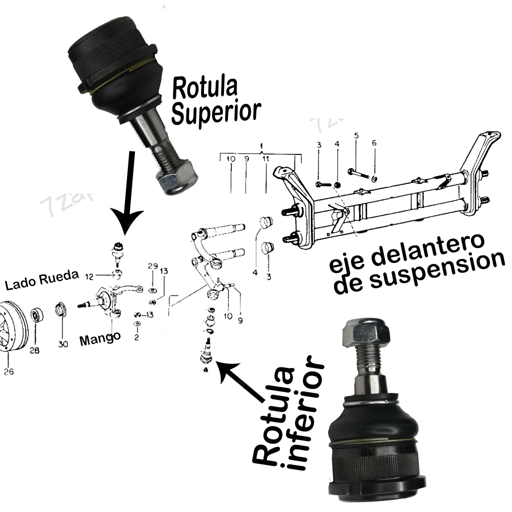 Rotulas De Sedan Vocho Refaccionaria El Auto Compacto